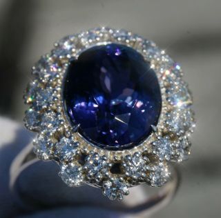 Tanzanite Diamond White Gold Ring 14k Gia Unheated 7.  74ct Natural Retail $14600