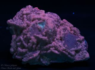 Tsumeb Mine Mineral Specimen Fluorescent Uv Sw Calcite 107x71x40mm 273gr