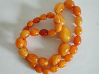 Antique Art Deco Butterscotch Amber Egg Yolk Baltic Xxl Necklace Prayer Beads