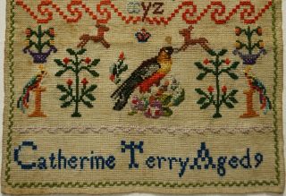 MID/LATE 19TH CENTURY BIRD & MOTIF SAMPLER BY CATHERINE TERRY AGED 9 - c.  1870 3
