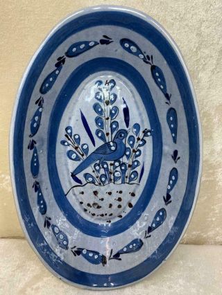 Tonala Mexican Folk Art Hand Painted Stoneware Pottery Bluebird 12 " Bowl Signed