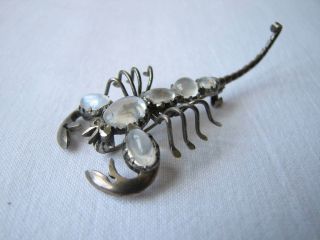 Vintage Antique Silver Moonstones Scorpion Brooch Pin