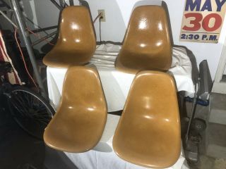 Set 4 Vintage Eames Herman Miller Side Shell Chair Seats Fiberglass Butterscotch