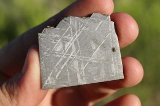 Muonionalusta Meteorite Etched Part Slice 16.  2 Grams