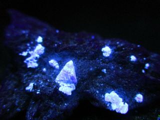 Rare Benitoite Fluorescent Mineral Rock Crystal With Neptunite D41