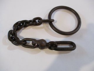 Newhouse No.  5 Or 15 Bear Trap Chain / Hutzel / Trapping / Vintage /