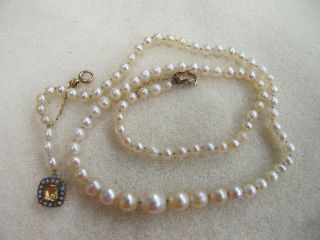 A Certified Natural Pearl Necklace With Yellow Gold Clasp 12.  1grams
