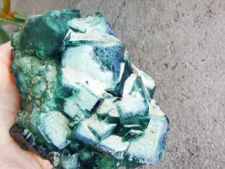 Rare Translucent Green Cube Fluorite Mineral Specimen 620g