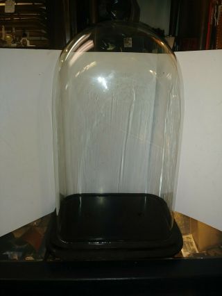 Antique Victorian Oblong Hand Blown Glass Dome Display Clock 17 " X 10 " X 7 "