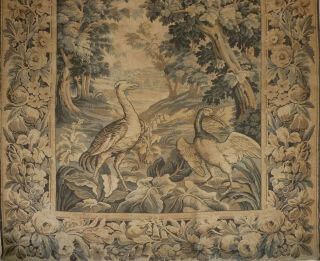 Large Antique French Chateau Wallhanging Tapestry Verdure Wild Birds 229cmX115cm 3