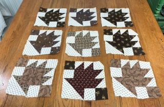 Early Browns c 1880 - 1900 Bear Paw 9 QUILT Blocks Antique 2
