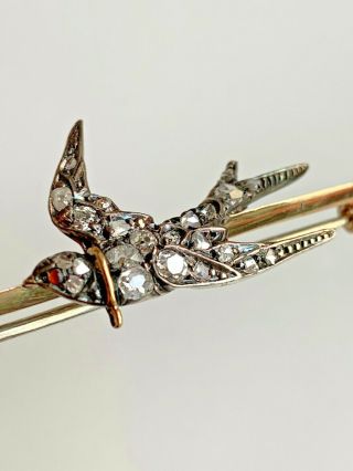 Antique Georgian Natural Old Cut Diamond Set 15ct Gold Swallow Brooch Boxed