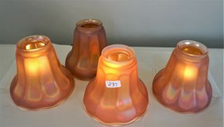 Set Of Four Antique Nuart Marigold Carnival Glass Shades Marigold 2.  25 "