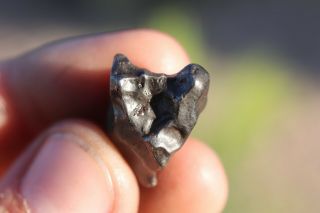 Sikhote Alin Meteorite individual 7.  5 grams 3