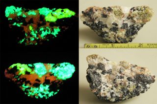 Esperite Willemite Franklin Nj Fluorescent Mineral Specimen