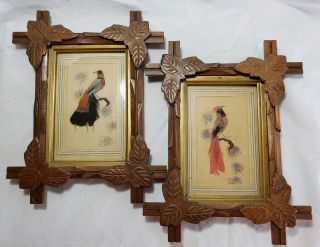 Vtg Feather Craft Bird Pictures Hand Carved Wood Frame Mexican Folk Art 60s Pair