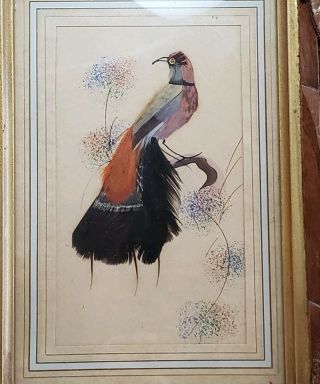 Vtg Feather Craft Bird Pictures Hand Carved Wood Frame Mexican Folk Art 60s Pair 3