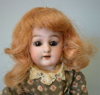 Antique 8 " Cabinet Doll - - C Hartmann Globe Baby Germany Bisque Head & Compo Body