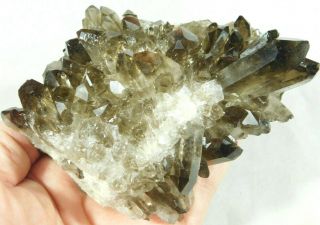 Dozens Of Points On This Big Smoky Quartz Crystal Cluster From Brazil 644gr E