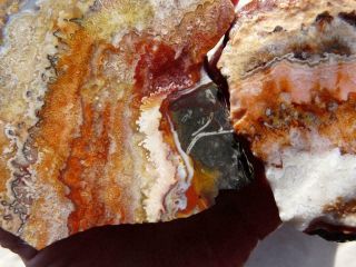 Rimrock: 4.  20 Lbs Mexican Crazy Lace Agate Rough