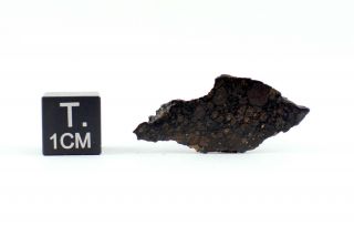 Nwa 801 Meteorite (cr2) - Full Slice - 0.  99 G