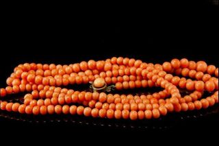 Antique Victorian Graduated Salmon Coral Beads Long 44 " Long Necklace Mr
