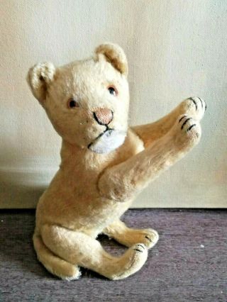 1930 Old Vintage Antique Steiff Jointed Lioness/lion Cub Soft Toy Teddy Bear