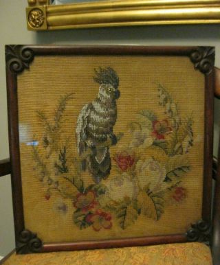 Antique Victorian Fire Screen Cockatoo Roses Beadwork Needlepoint Framed Glass 2
