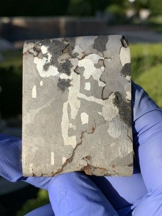 Meteorite Campo Del Cielo; Iron (iab) 85.  36 Gram Slice