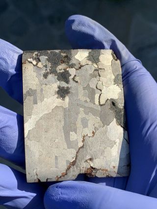 Meteorite Campo Del Cielo; Iron (IAB) 85.  36 Gram Slice 2