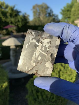 Meteorite Campo Del Cielo; Iron (IAB) 85.  36 Gram Slice 3