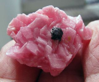 Rhodochrosite Red Crystals With Sphalerites From Peru. .  Gorgeous Piece