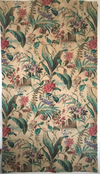 Antique Rare 19th C.  Exotic Cotton Botanical Floral Fabric (2915)