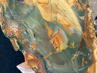 Blue Mountain Jasper Collector Slab Large End Cut Pattern Lapidary