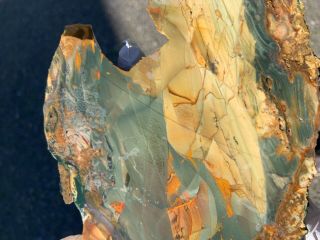 BLUE MOUNTAIN JASPER collector slab large end cut pattern lapidary 3