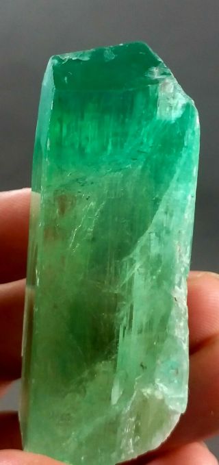 354 Carat Top Quality Big Size Lush Green Hiddenite Kunzite Crystal @afg