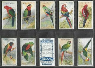 Player 1909 Interesting (nature) Full 50 Card Set  Nature
