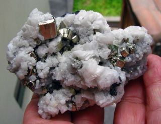 Pyrite Briliant Crystals And Cubic Calcite On Matrix From PerÚ - Huanzala Mine.