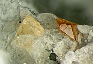 Very Rare At Mont Saint - Hilaire: Wöhlerite Micro Crystal With Titanite