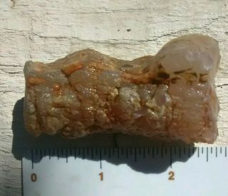 Pink Agate Petrified Liimbcast Texas Spriings Nv.  65 Grams,  Salmon Cabinet.