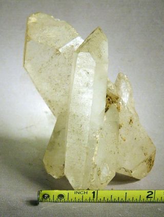 Quartz Cluster Double Terminated Crystals Lyndhurst Ontario Mineral Specimen