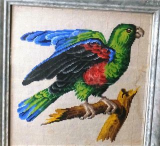 Hand Painted Berlin Woolwork Pattern Of Parrot/parakeet - Sajou,  Paris