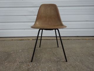 Vintage 50s Mid - Century Modern Herman Miller Eames Dsx Shell Chair 1950s X Base