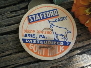 Stafford Goat Milk Cap,  Erie,  Pa. ,  1 5/8 " Lid,  W/colorful Goat Image Phone X14 - 380