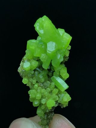 4.  9g Natural Green Pyromorphite Crystal Cluster Small Matrix Mineral Specimens