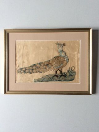 Framed Antique Silk Work Embroidery Of A Peacock