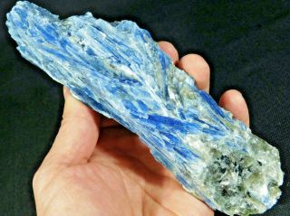 A Huge 100 Natural Blue Paraiba Kyanite Crystal Cluster With Quartz 565gr E