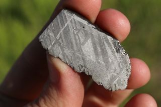 Muonionalusta Meteorite Etched Part Slice 20.  4 Grams