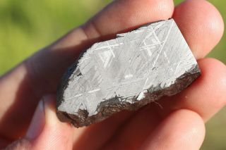 Muonionalusta meteorite etched part slice 20.  4 grams 2