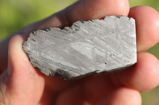 Muonionalusta meteorite etched part slice 20.  4 grams 3